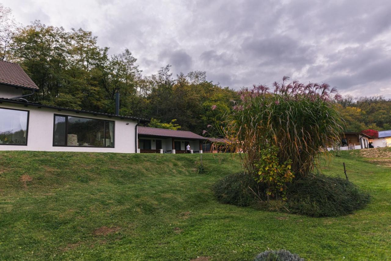 Casa Tirol Blaj Hotel Bagian luar foto